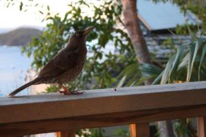 winter 2011 079