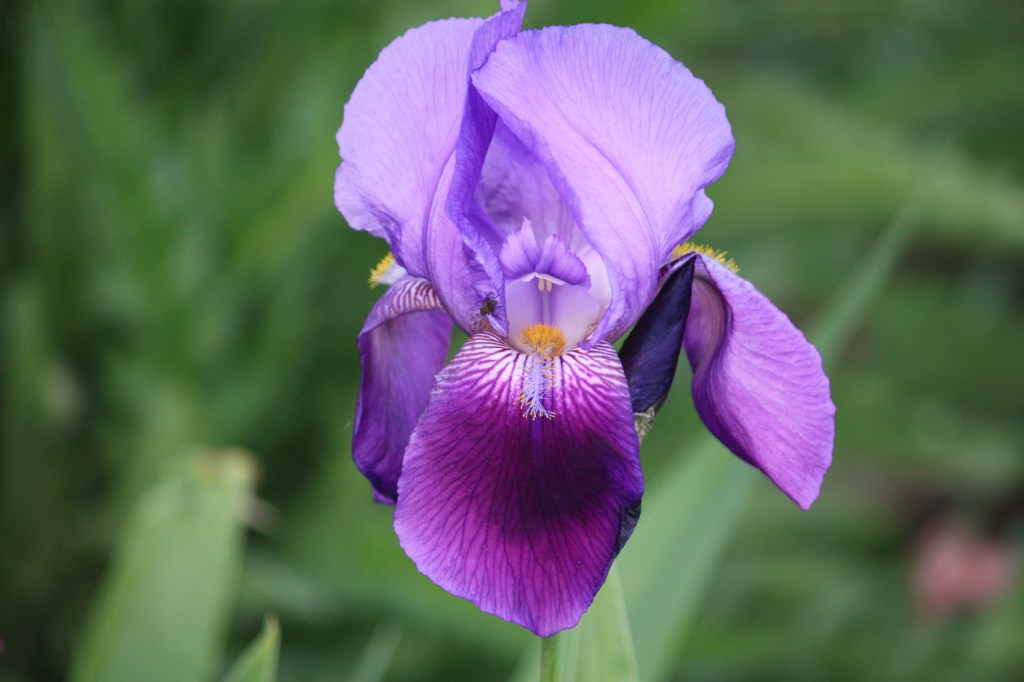 037