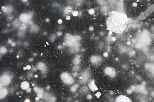 Tiny bubbles, in the ice . . . .
