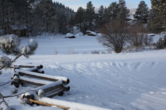Sam's pond covered with ice and snow . . . .