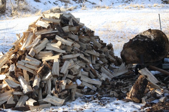 How much wood would a woodcutter cut? . . . .