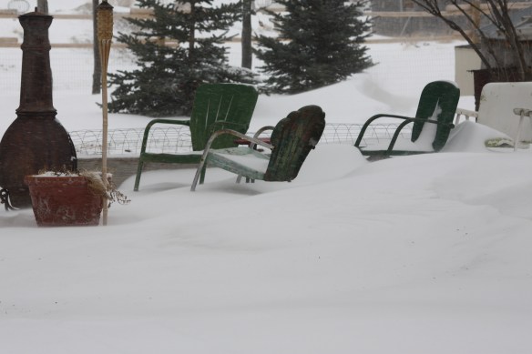 "Break out the beer and burgers--time to grill!" . . . . 