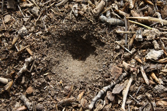 A mysterious crater . . . .