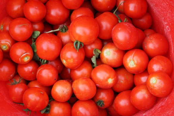 And then there were tomatoes . . . .