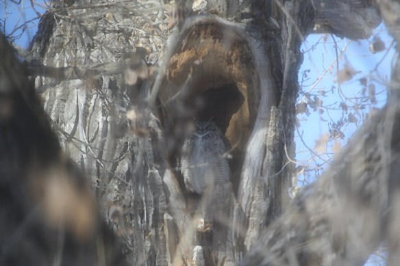"A long winter's nap in a nice little nook." . . . .