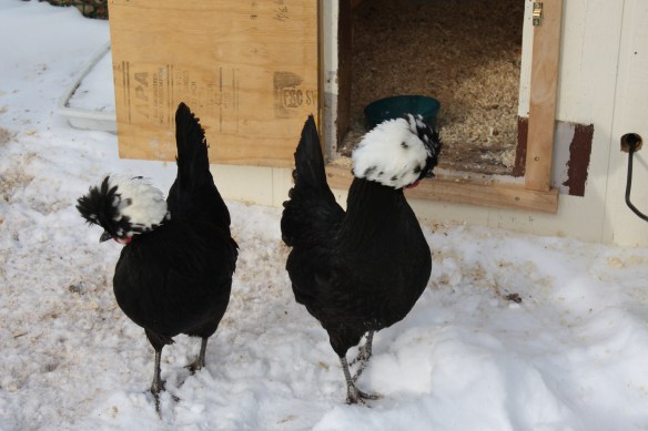 "We could do with some warmer weather!" . . . .