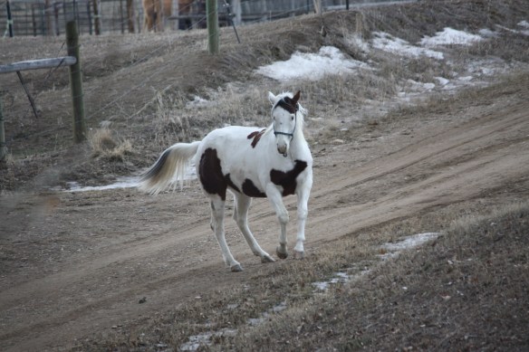 "I think I see my buddy!" . . . .