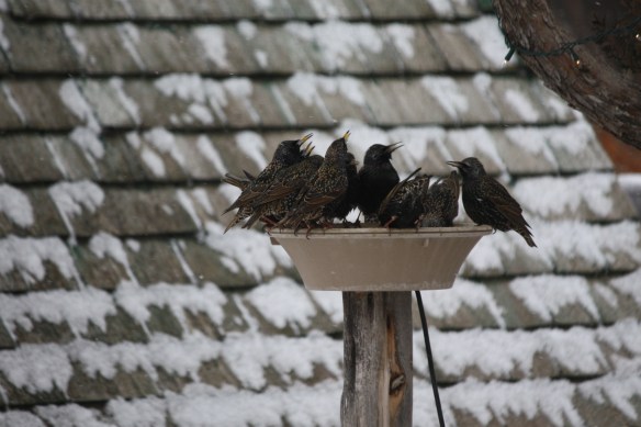 at the water cooler . . . .