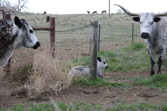 Avuncular Abe guards his babe . . . .
