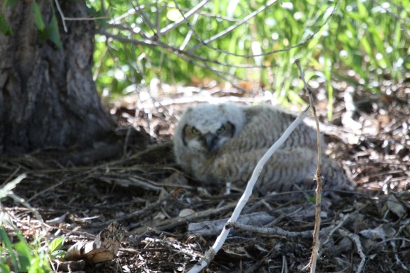 A beautiful baby on the ground . . . .