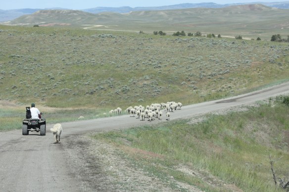 More traffic congestion . . . .
