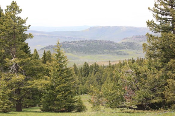 The view from the porch . . . .