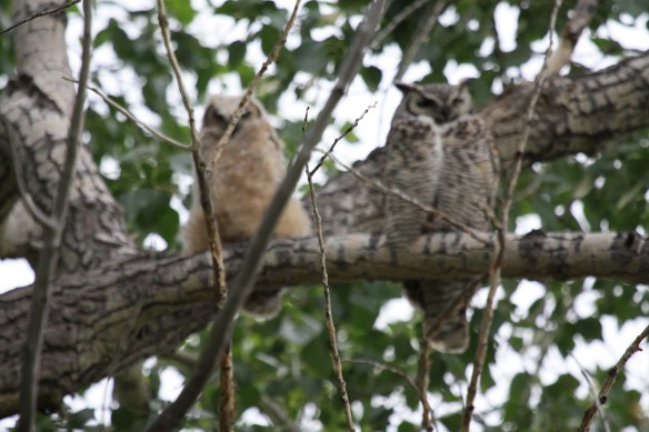 A proud parent keeps a watchful eye . . . .