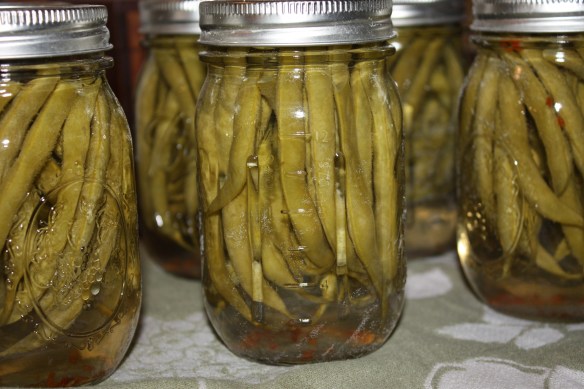 beans in a pickle . . . .