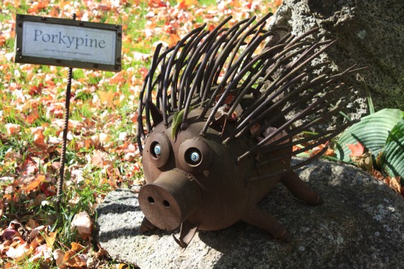 a hedgehog perhaps? . . . .