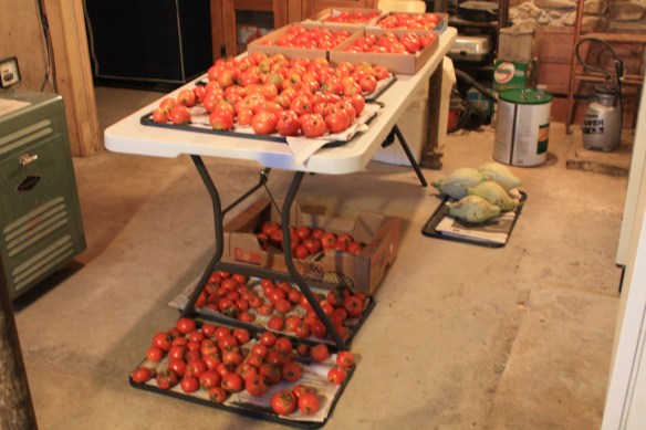 the ripening room . . . .