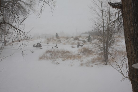 the color of cold . . . .