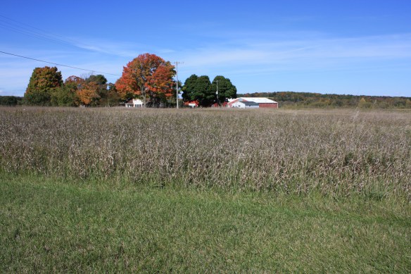 Farms along the open road . . . .