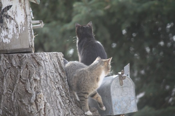 Got mail? . . . . 