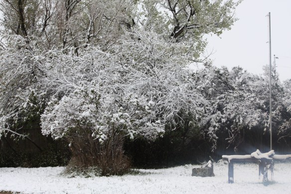 Looks like snow . . . .