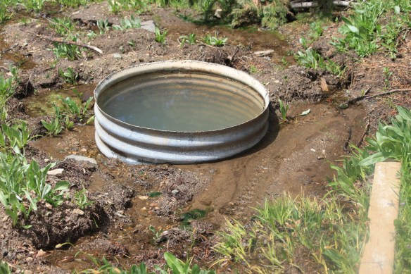Uh oh, water in the hole . . . .