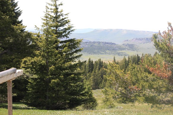 The great basin . . . .