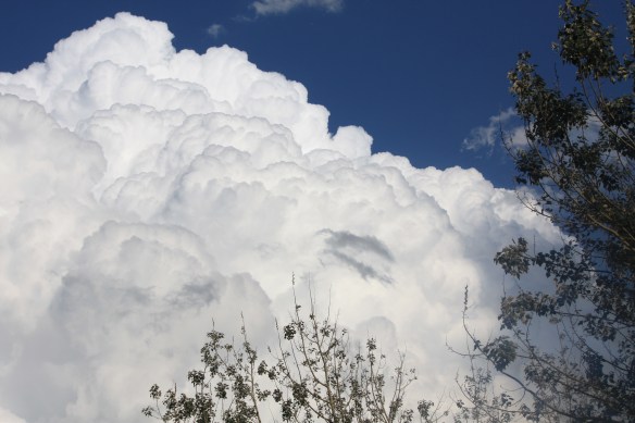 Get your head in the clouds . . . . 