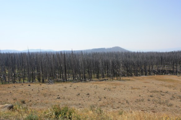 As far as the eye can see . . . . 