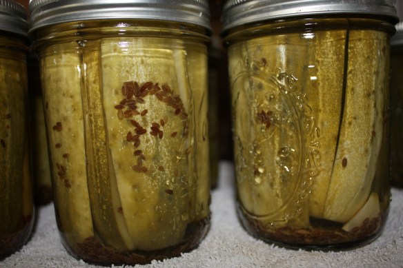 dill pickles galore . . . .