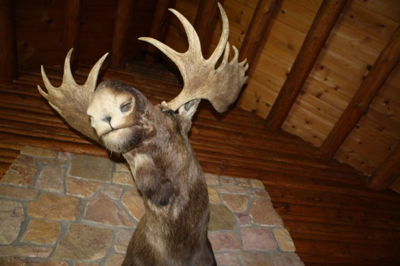 If this guy could talk . . . .