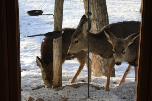 Mom and the twins . . . .