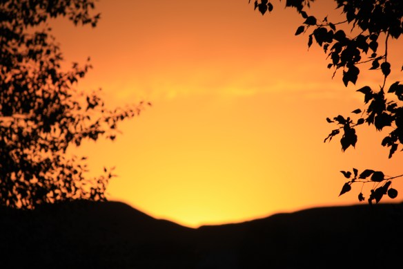 IMG_7388.JPG