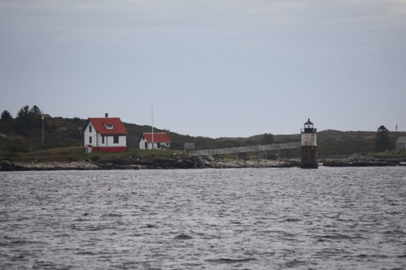 IMG_7867.JPG