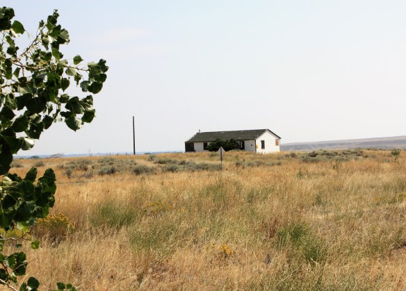 IMG_6363.JPG