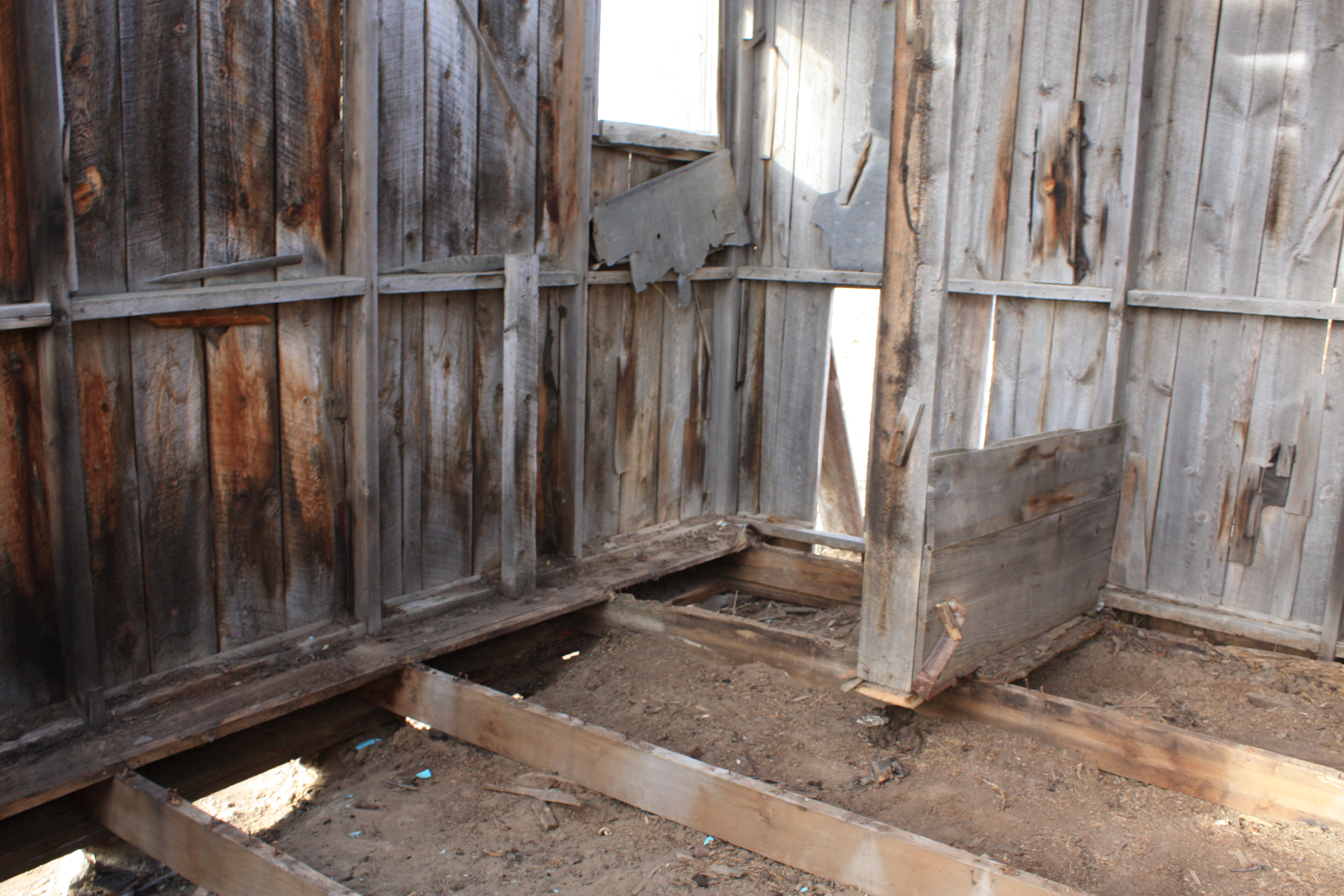 IMG_7955.JPG