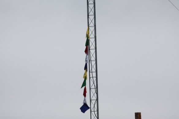 IMG_9039.JPG