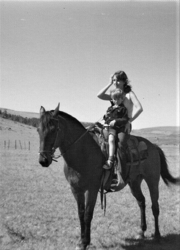cattle drive 3 (2)