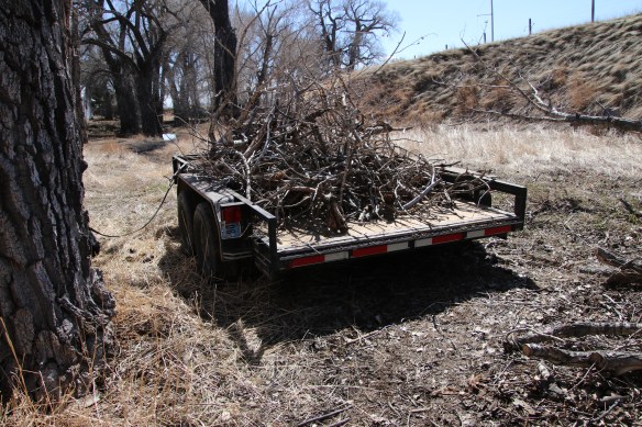 IMG_0809