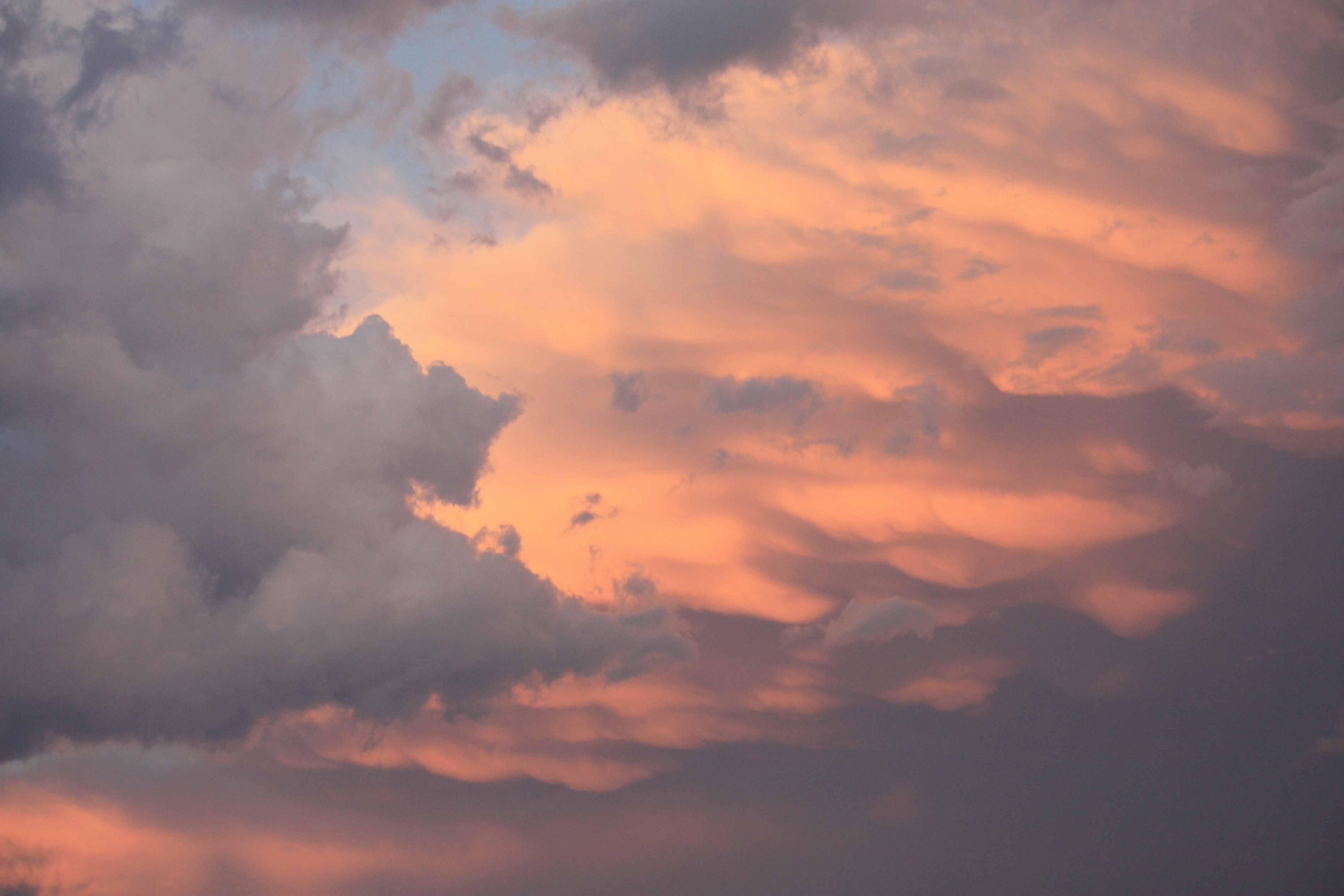 IMG_6044