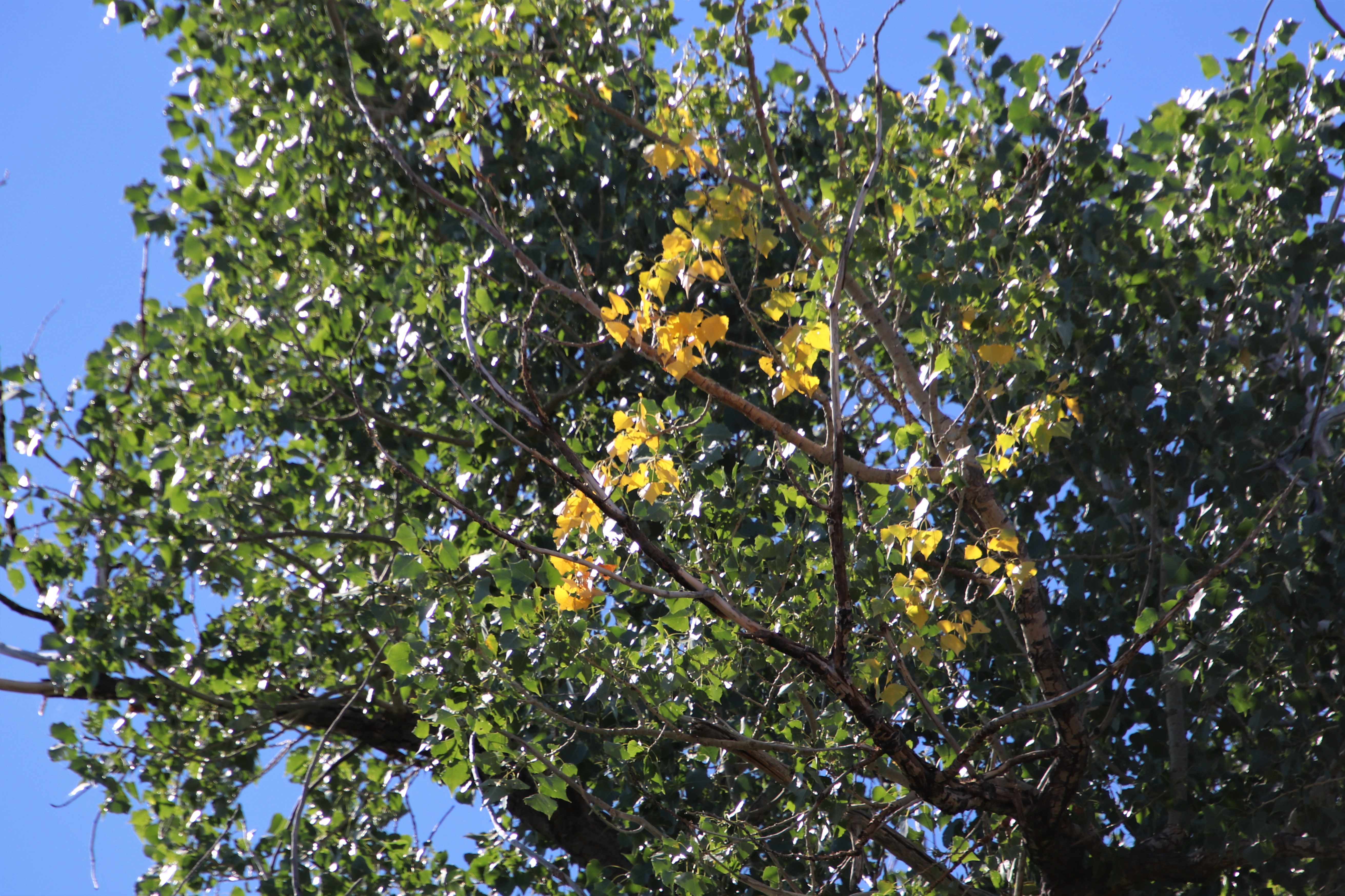 IMG_1261 (2)