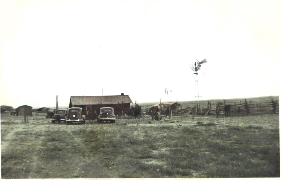 Homestead